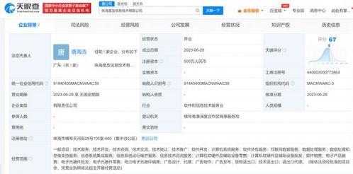 成立新公司 专注数据处理服务的战略与前景